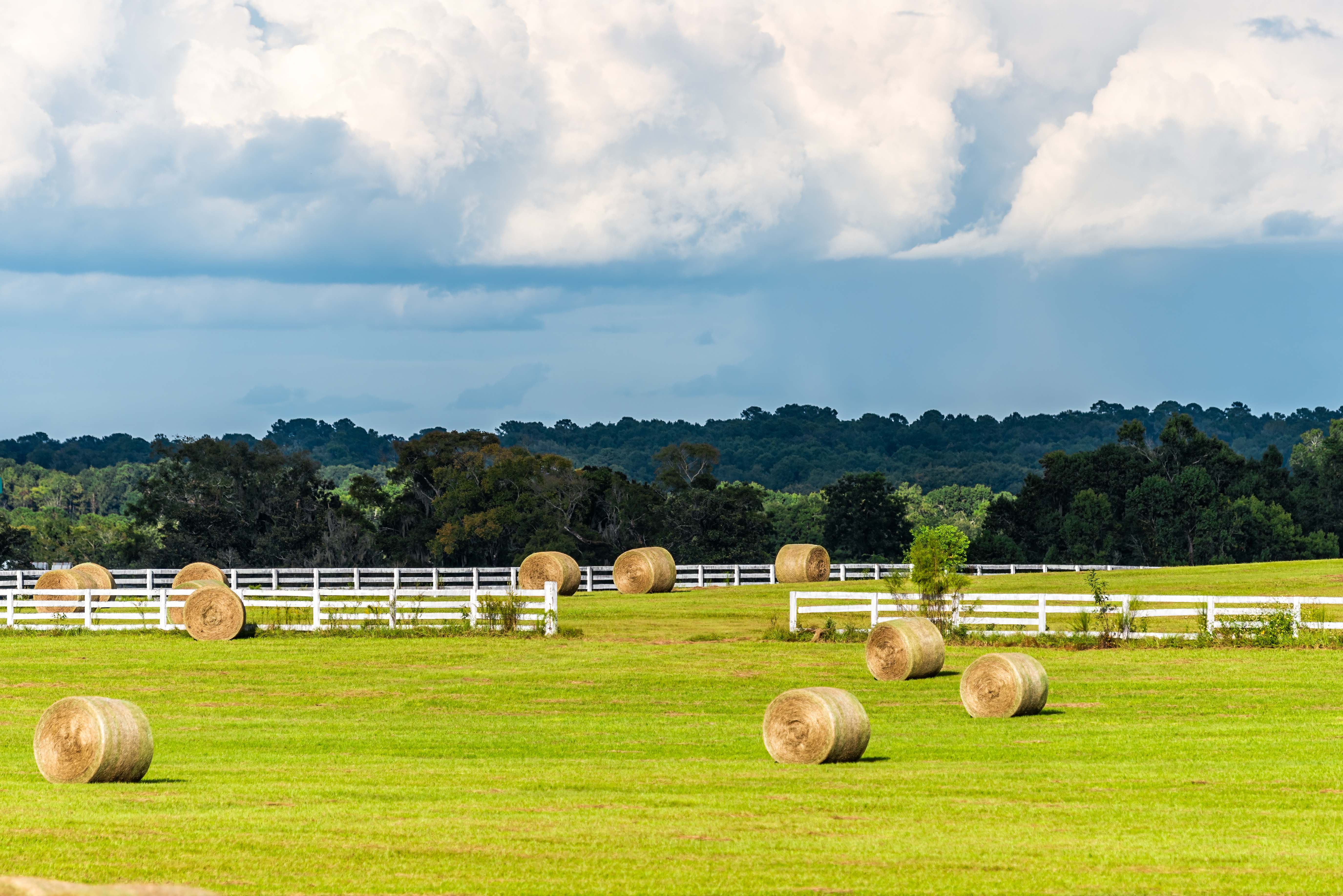 Rural Florida farmland with hay bales and white fence